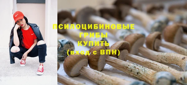 ALPHA-PVP Гвардейск