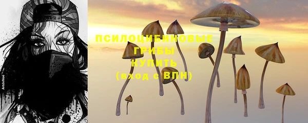 ECSTASY Нязепетровск