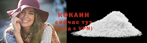 мдпв Нягань