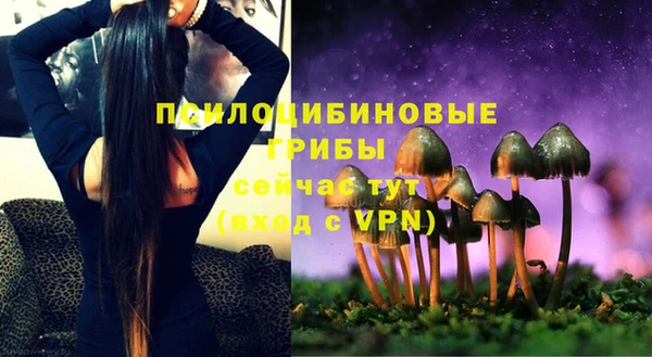 мдпв Нягань