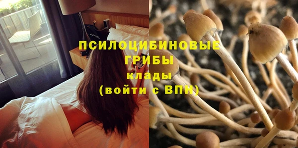 ECSTASY Нязепетровск